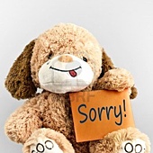 11858444-sorry-message-and-toy-on-white