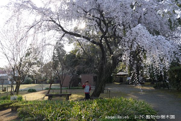  在監物台樹木園