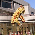 飛鴻館舞獅表演2009.1