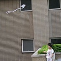 Alex做的風箏(2009.9.5)