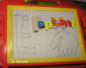 elephant (4y9m)