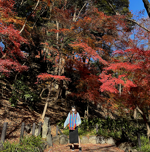 Tokyo_東京地鐵一日券遊、秋葉原貓頭鷹咖啡館、淺草寺美食