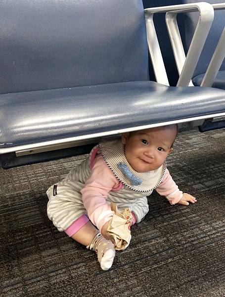 IMAG0801.jpg IMAG0801.jpg