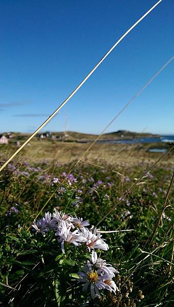 IMAG5516.jpg IMAG5516.jpg