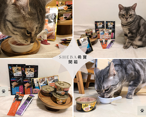 開箱 Sheba®希寶 貓咪濕糧｜鮮肉慕斯主食罐評測，成貓飼