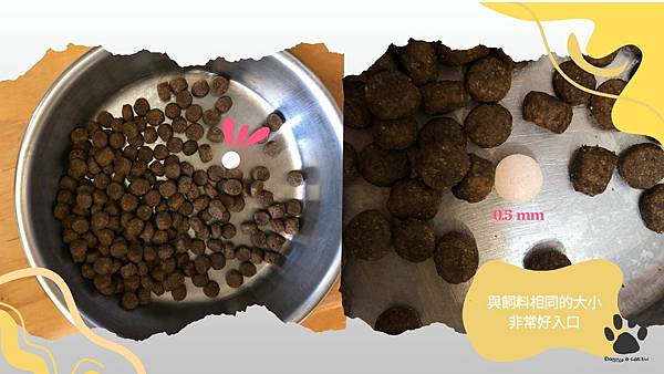 奧沛OurPet關沛錠_貓貓關節錠_1