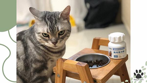 奧沛OurPet關沛錠_貓貓關節錠_4