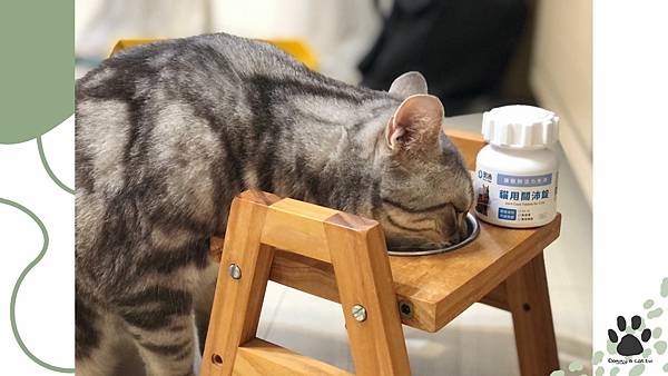 奧沛OurPet關沛錠_貓貓關節錠_3