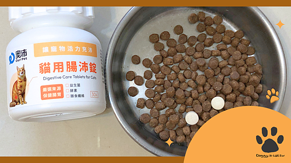 照顧老貓腸胃，貓貓益生菌推薦，從敏感體質到穩定日常