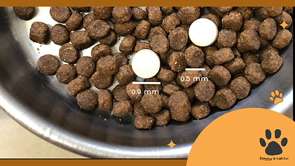 照顧老貓腸胃，貓貓益生菌推薦，從敏感體質到穩定日常