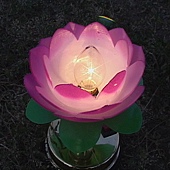 2002-7-20-lotuslight0719.jpg