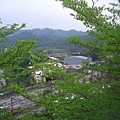 視野風景