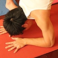 Pincha Mayurasana 孔雀式