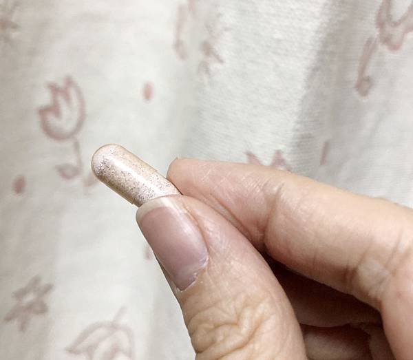 S__9166909.jpg 試用