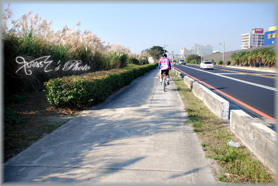 踩車日記18-14.JPG