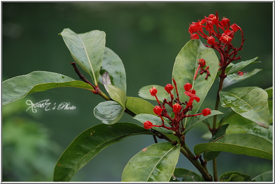 成雙成對花蓮行D2_24.JPG