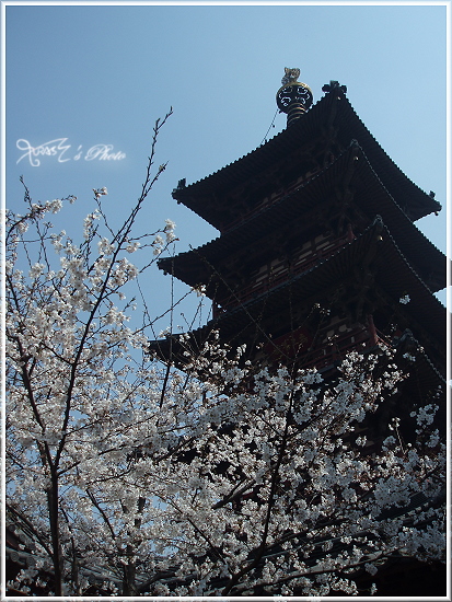 蘇州寺院12.JPG