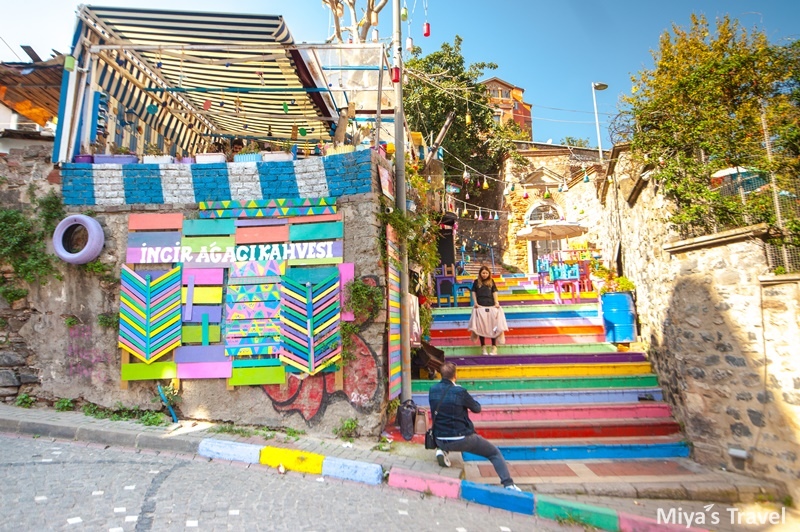 DSC_9041.jpg DSC_9041.jpg