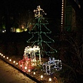 0210 Christmas light.JPG