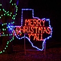 0226 Christmas light.JPG