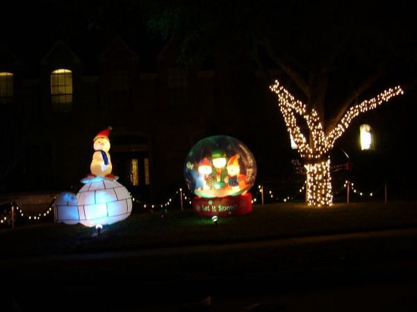 0229 Christmas light.JPG