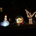 0229 Christmas light.JPG