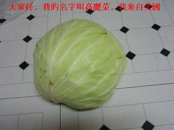 高麗菜到了美國..... 還是叫高麗菜.JPG