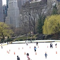 0781 Central Park.JPG