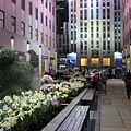 0788 Rockefeller.JPG