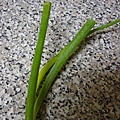 Green onion_3.JPG