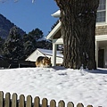 1506 Estes Park.JPG