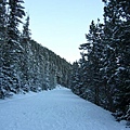 1521 RMNP.JPG