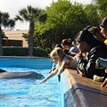 1971 SA SeaWorld.JPG