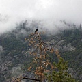 24 Yosemite.JPG