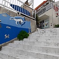 20240423_114221.jpg