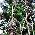 20240424_145311.jpg