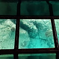 20240424_153956.jpg