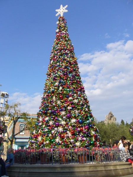 018_ChristmasTree.JPG