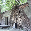 062_AnpingTreeHouse.JPG