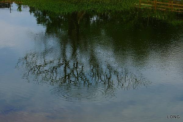 20130730_牛欄河親水公園024