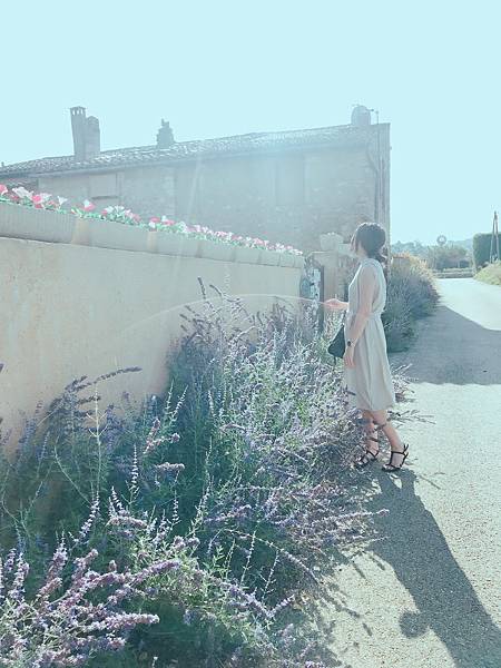 IMG_9285.JPG IMG_9285.JPG