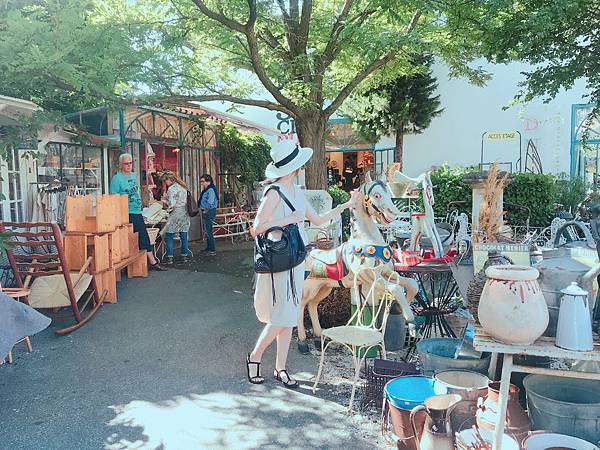 IMG_9335.JPG IMG_9335.JPG