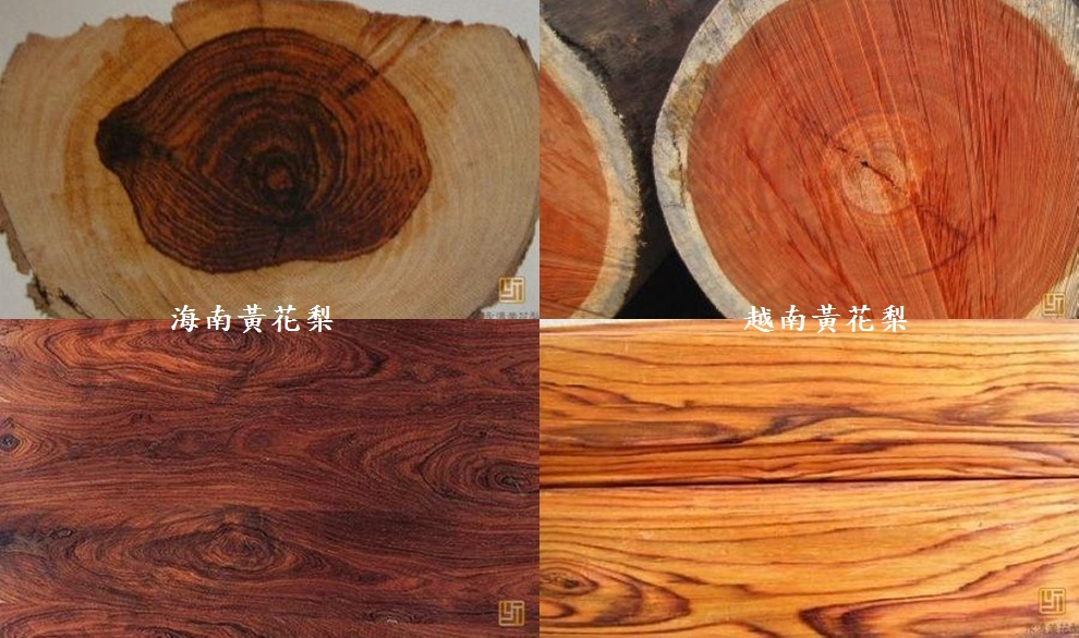 鑑別海南黃花梨與越南黃花梨 Wufei Jade Blog 痞客邦