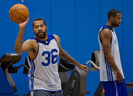 Rasheed-Wallace1