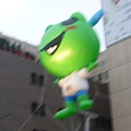 台北樹蛙!?