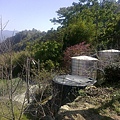 20110205200.jpg