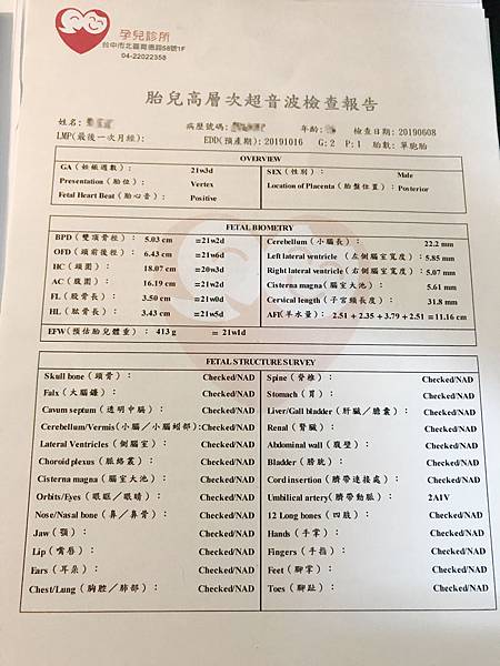 21w3d 孕兒 禾馨 高層次超音波檢查ƪ ʃ Mamalove