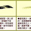 眉毛2.jpg