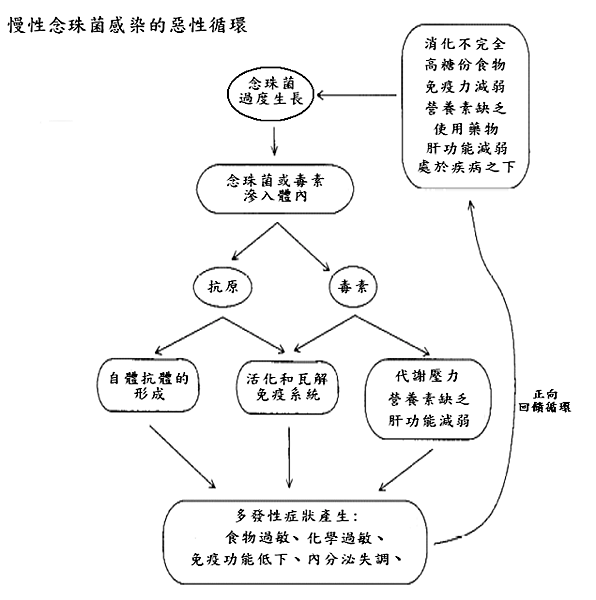 螢幕快照 2019-09-22 下午10.32.31