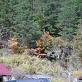 IMG_7352.JPG IMG_7352.JPG